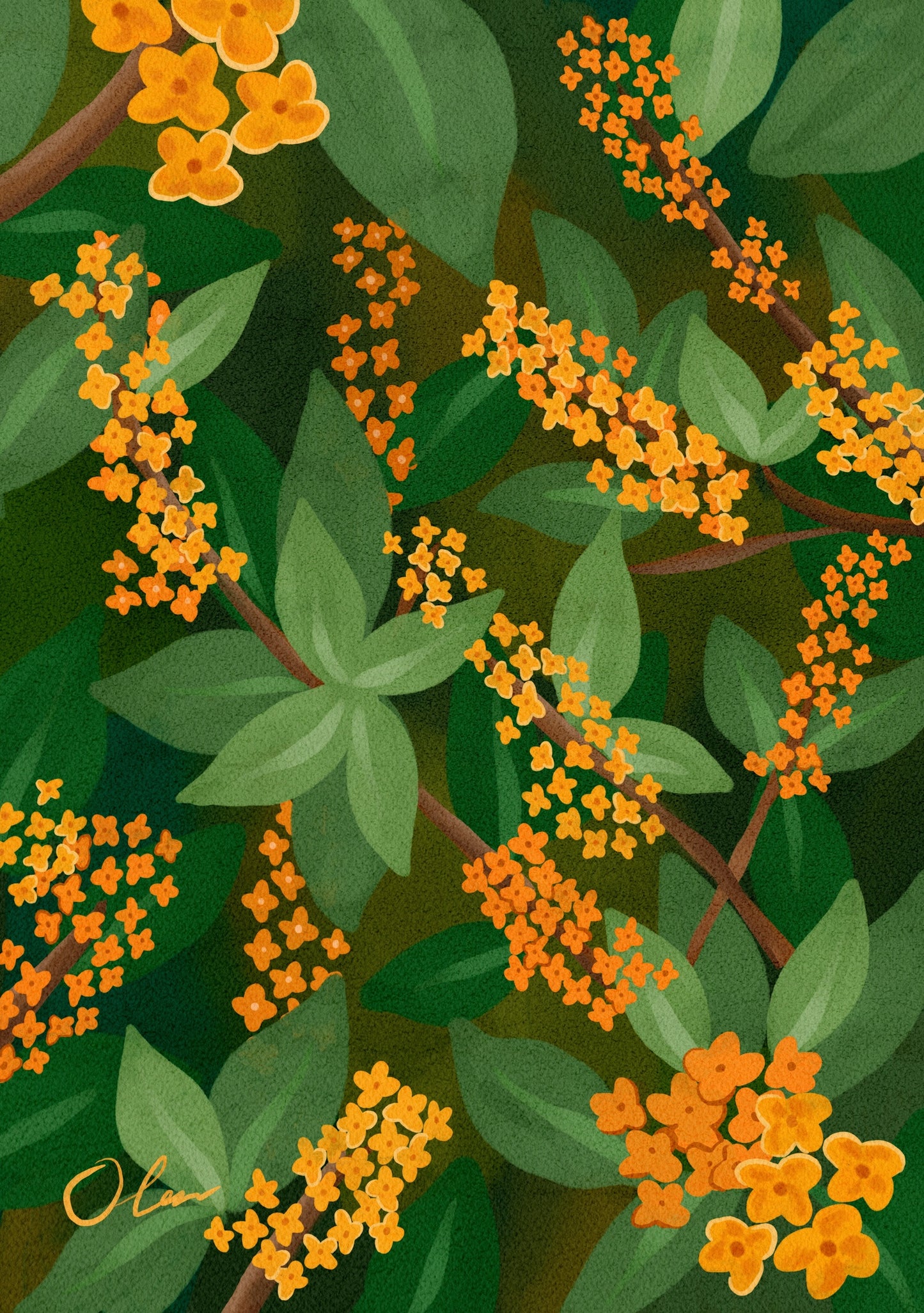 Kinmokusei flowers Art Print